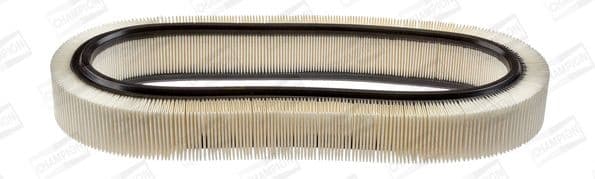 Air Filter CAF100148R