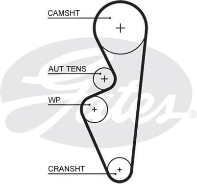 Timing Belt PowerGrip™ 5670XS