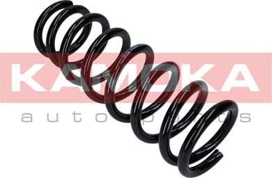 Coil spring 2120289