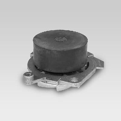 Water Pump, engine cooling P1012