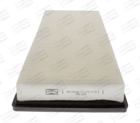 Air Filter CAF100632P