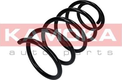 Coil spring 2110285