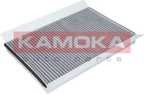 Filter, cabin air F509001
