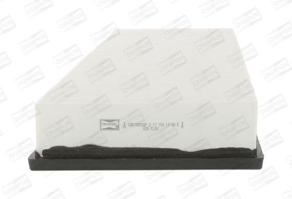 Air Filter CAF100758P