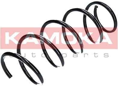 Coil spring 2110284