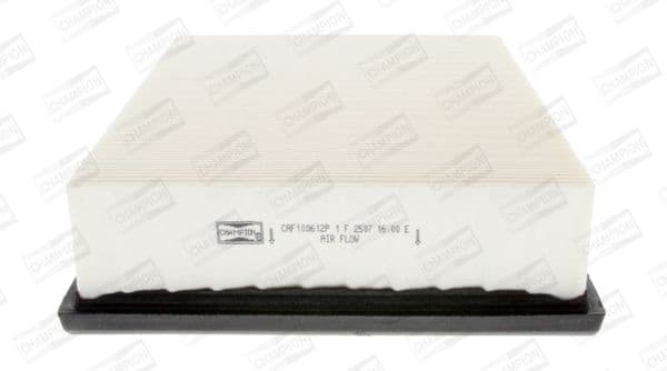 Air Filter CAF100612P