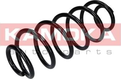 Coil spring 2120282