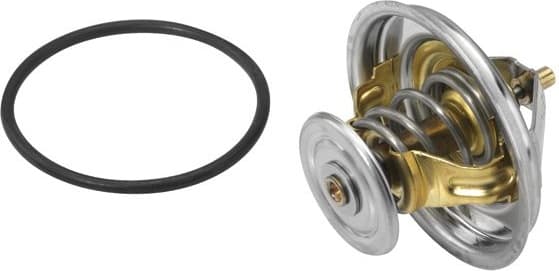 termostatas, aušinimo skystis - image 2