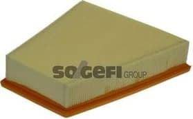 Air Filter A1113