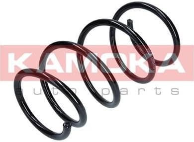 Coil spring 2110301