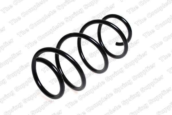 Suspension Spring 22022