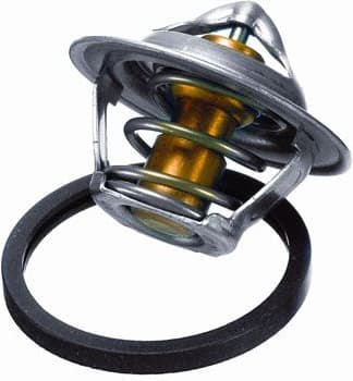 termostatas, aušinimo skystis - image 2