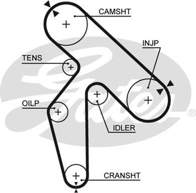 Timing Belt PowerGrip™ 5391XS - image 2