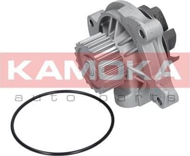 Water Pump, engine cooling T0042