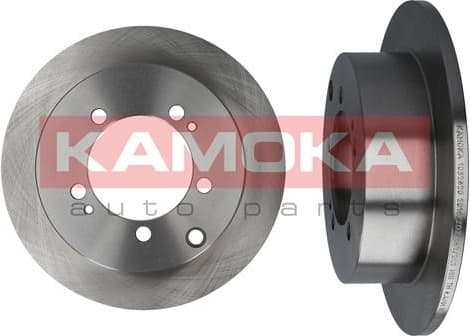 Brake Disc 1032820