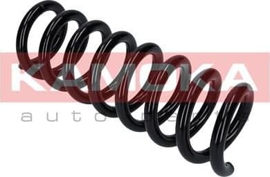 Coil spring 2120281 - image 4