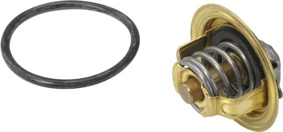 termostatas, aušinimo skystis - image 2