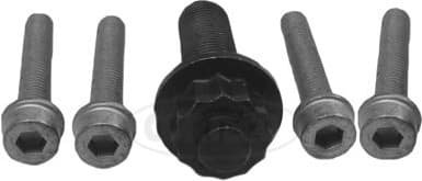 Bolt Set, crankshaft pulley 80001253