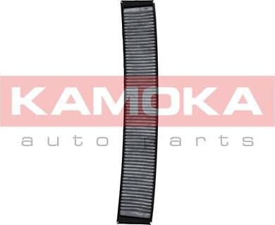 Filter, cabin air F504301 - image 2