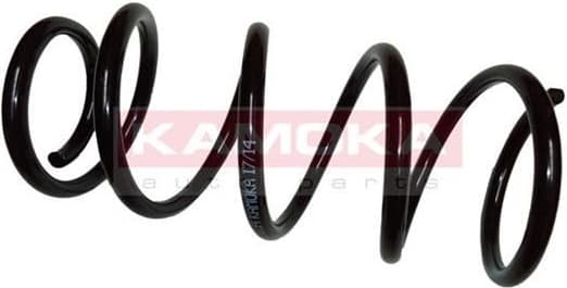 Coil spring 2120134