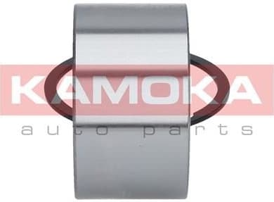 Wheel Bearing Kit 5600030 - image 4