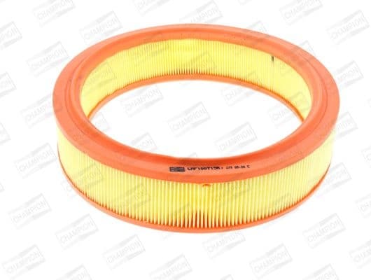 Air Filter CAF100713R