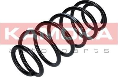 Coil spring 2120257
