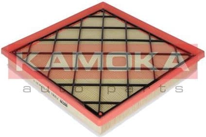 Air Filter F220801 - image 2
