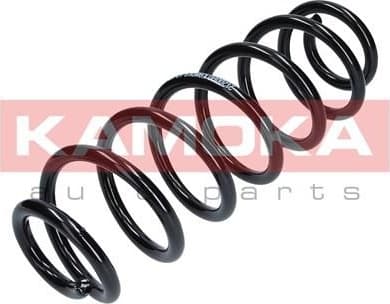 Coil spring 2120080