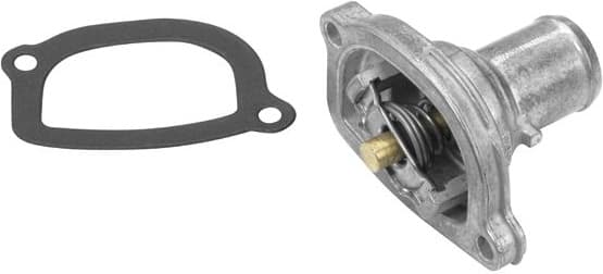 termostatas, aušinimo skystis - image 2