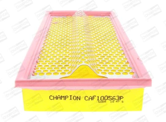 Air Filter CAF100563P