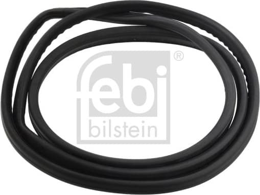 Seal, rear window 08883