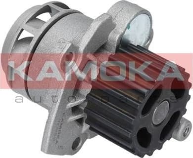 Water Pump, engine cooling T0253