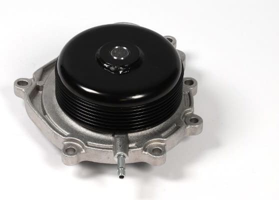 Water Pump, engine cooling P1513