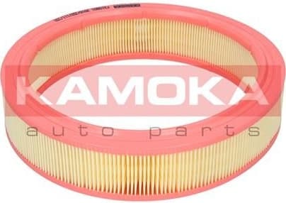 Air Filter F210901