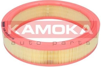 Air Filter F210901 - image 4