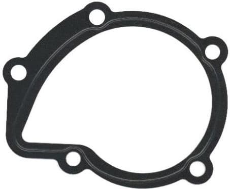 Gasket, water pump 754.044