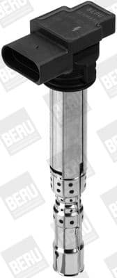 ZSE 031 (BorgWarner (BERU)) - image 3