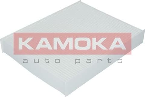 Filter, cabin air F405601