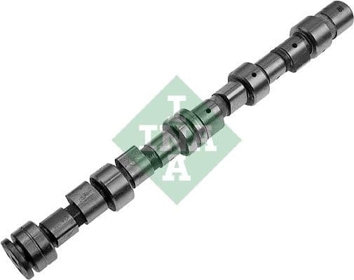 Camshaft 428004910