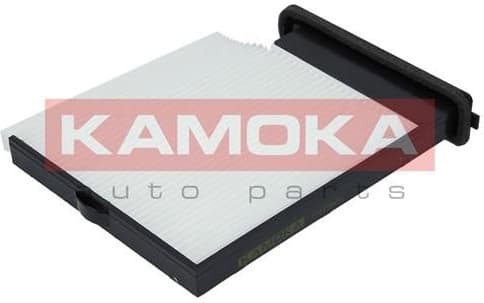 Filter, cabin air F415601