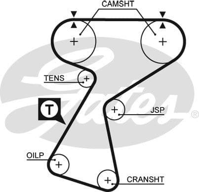 Timing Belt PowerGrip™ 5244XS - image 2