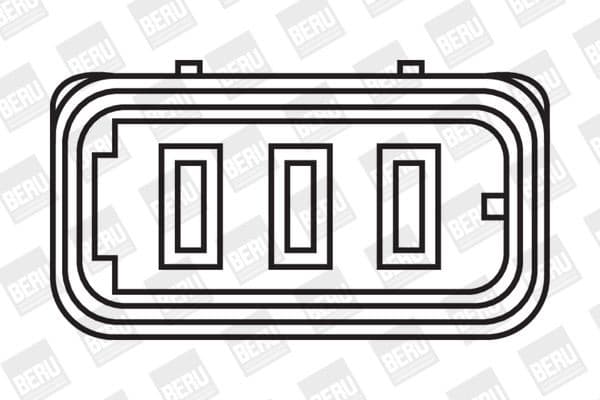 ZS 017 (BorgWarner (BERU)) - image 2