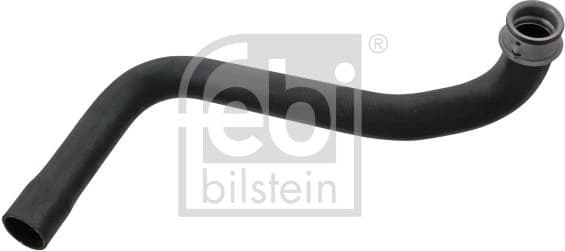Radiator Hose 100307