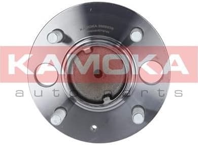 Wheel Bearing Kit 5500075