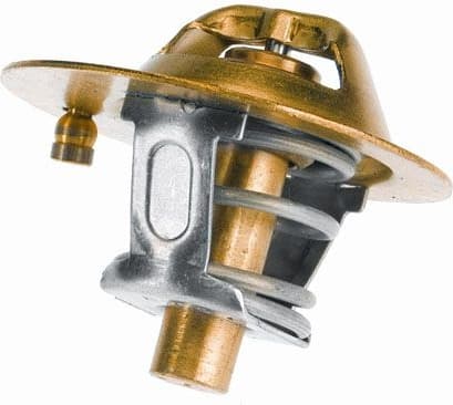 termostatas, aušinimo skystis - image 2