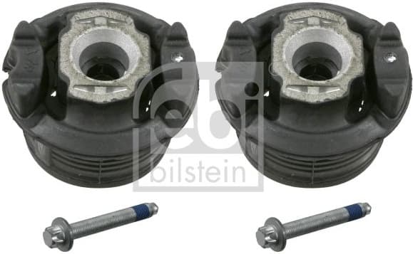 Bush Set, axle beam 22672