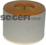 Air Filter A1549