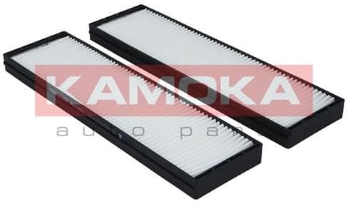 Filter, cabin air F413601