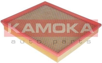 Air Filter F212001 - image 4
